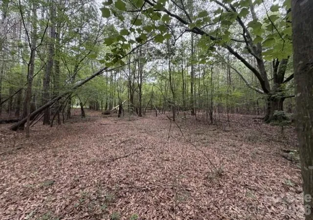 5th image of 1100 Blacksburg Rd, Grover, NC 28073 | MLS# 4398755