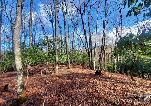 Homes for sale in Pisgah Forest, NC | Tbd Skye Dr #803a & 803b, Pisgah Forest, NC 28768 | MLS# 4398865