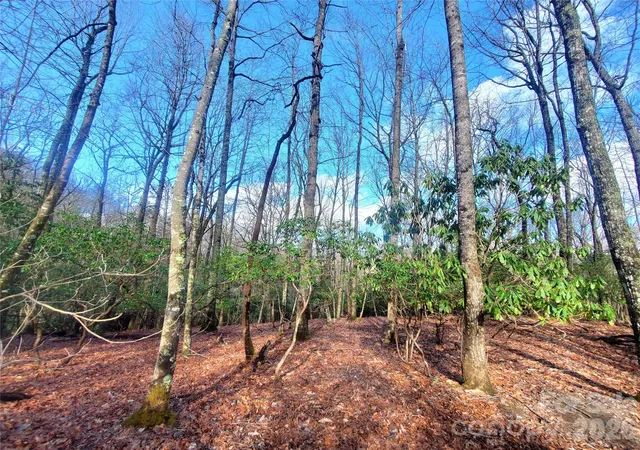 Homes for sale in Pisgah Forest, NC | Tbd Skye Dr #803a & 803b, Pisgah Forest, NC 28768 | MLS# 4398865
