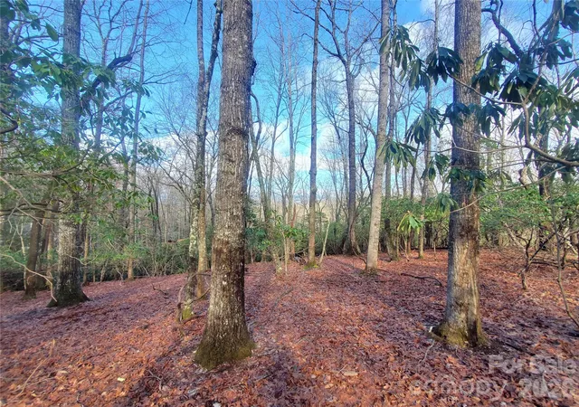 Homes for sale in Pisgah Forest, NC | Tbd Skye Dr #803a & 803b, Pisgah Forest, NC 28768 | MLS# 4398865