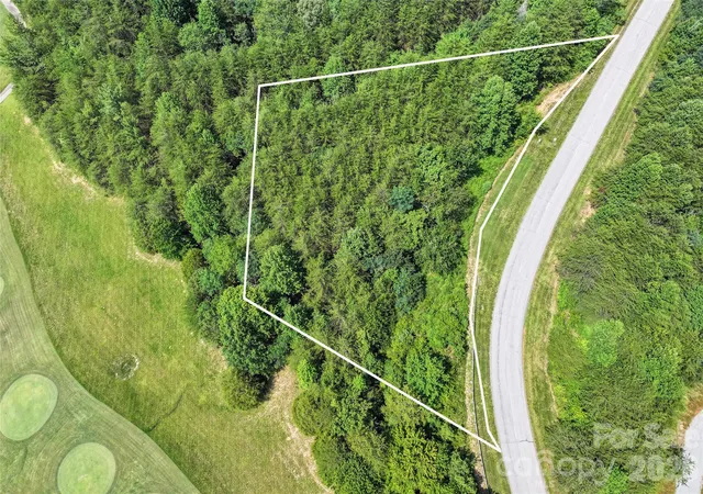 2nd image of 1361 E Deep Gap Farm Rd, Mill Spring, NC 28756 | MLS# 4398898
