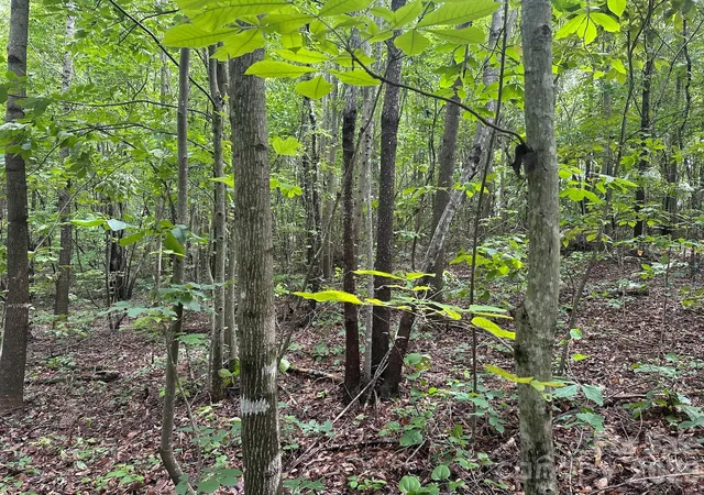 5th image of 0000 Section House Rd, Hickory, NC 28601 | MLS# 4398930