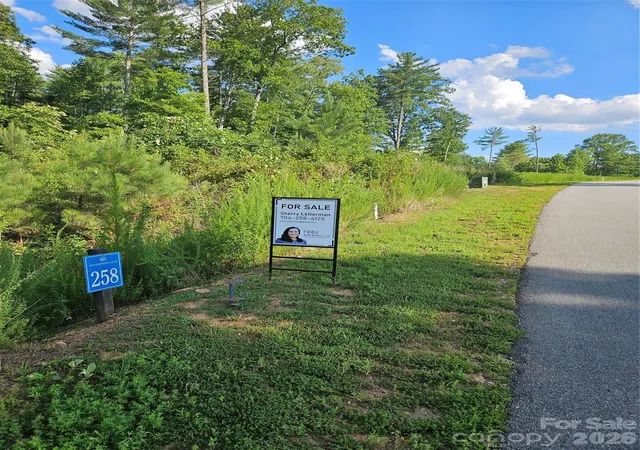 Homes for sale in Granite Falls, NC | Lot 258 Scenic Ln, Granite Falls, NC 28630 | MLS# 4398931