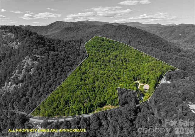 Homes for sale in Tuckasegee, NC | 4017 Canada Rd, Tuckasegee, NC 28783 | MLS# 4398971