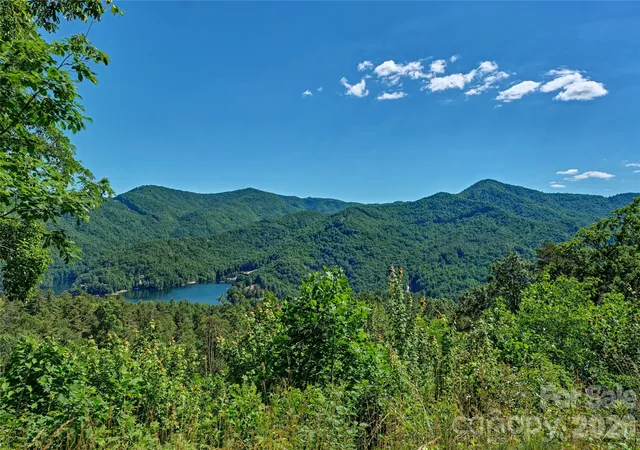 Homes for sale in Tuckasegee, NC | 4017 Canada Rd, Tuckasegee, NC 28783 | MLS# 4398971
