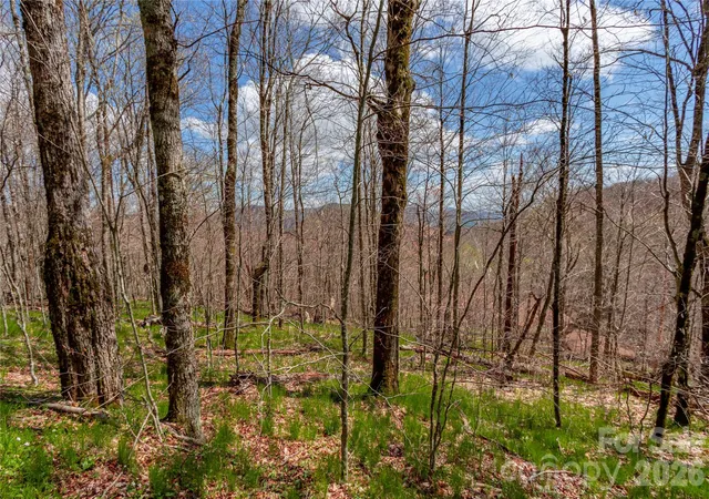 Homes for sale in Bakersville, NC | Lots 4,5 & 7 Mule Trail Dr, Bakersville, NC 28705 | MLS# 4398975