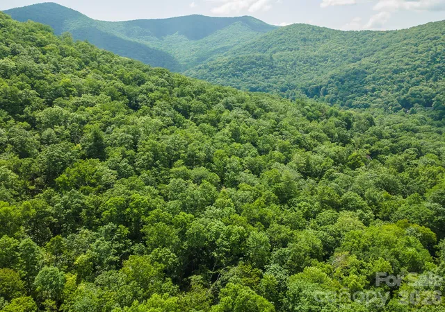 Photo 4 of Land for sale at 212 Harmony Ln, Montreat, NC 28757 | MLS# 4399069 | Listing updated on 2026-08-11