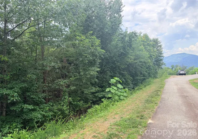 2nd image of 0 Golden Ridge Dr #133, Lake Lure, NC 28746 | MLS# 4399076