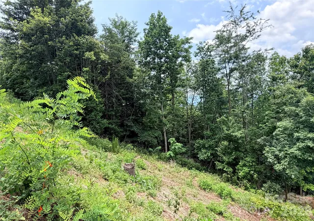 4th image of 0 Golden Ridge Dr #133, Lake Lure, NC 28746 | MLS# 4399076
