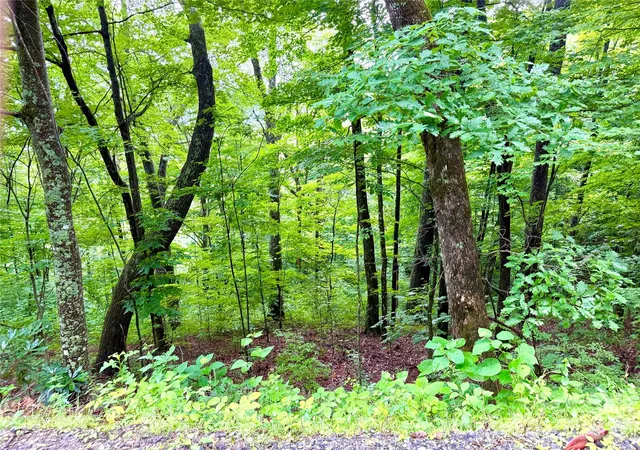 3rd image of 505 Mountainside Dr #27, 28, 29, 30, 31, 32, Waynesville, NC 28786 | MLS# 4399158