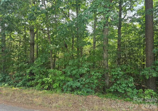 Photo 2 of Land for sale at 385 Dennis Rd, Troy, NC 27371 | MLS# 4399357 | Listing updated on 2026-07-16