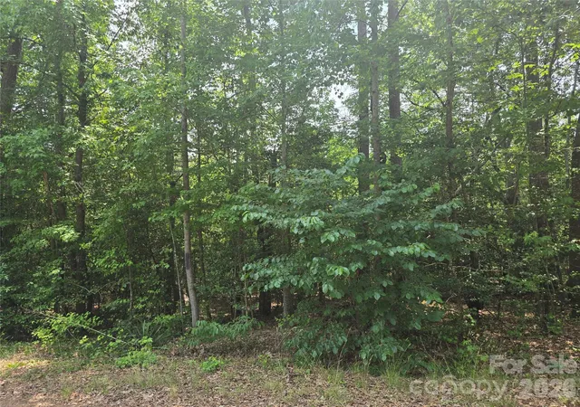 Photo 3 of Land for sale at 385 Dennis Rd, Troy, NC 27371 | MLS# 4399357 | Listing updated on 2026-07-16