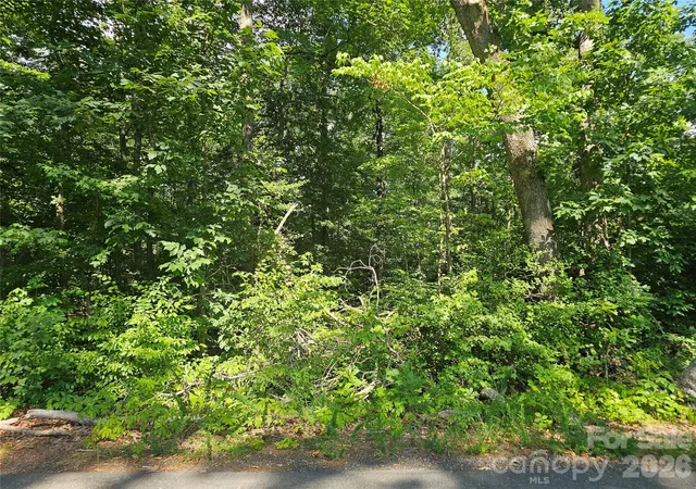 1st image of 0 Golfers Dr #3, Salisbury, NC 28146 | MLS# 4399361