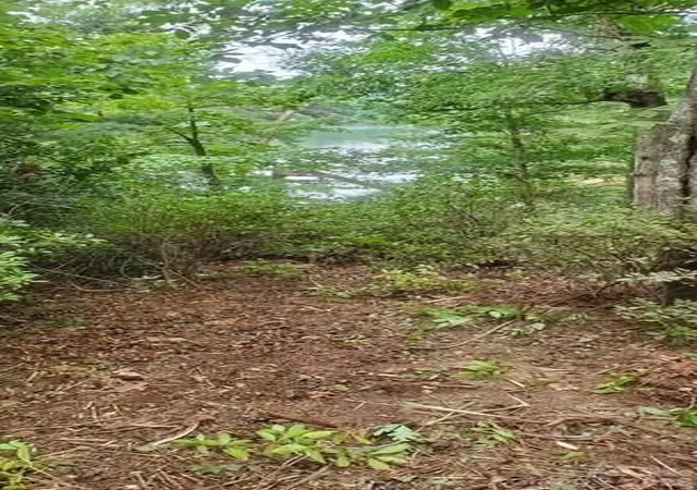 Photo 3 of Sale Pending at Tbd Main Channel Point #37, Granite Falls, NC 28630 | MLS# 4399363 | Listing updated on 2026-09-04