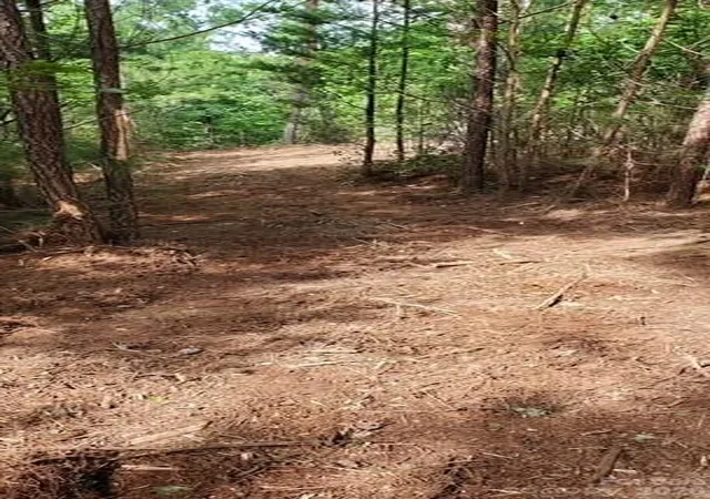 Photo 5 of Sale Pending at Tbd Main Channel Point #37, Granite Falls, NC 28630 | MLS# 4399363 | Listing updated on 2026-09-04