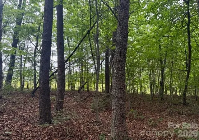 Homes for sale in Columbus, NC | 00 Bill Collins Rd, Columbus, NC 28722 | MLS# 4399366