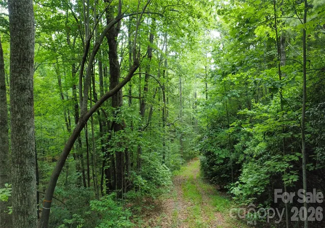 1st image of 9999 North Pointe Dr #70, Zirconia, NC 28790 | MLS# 4399369