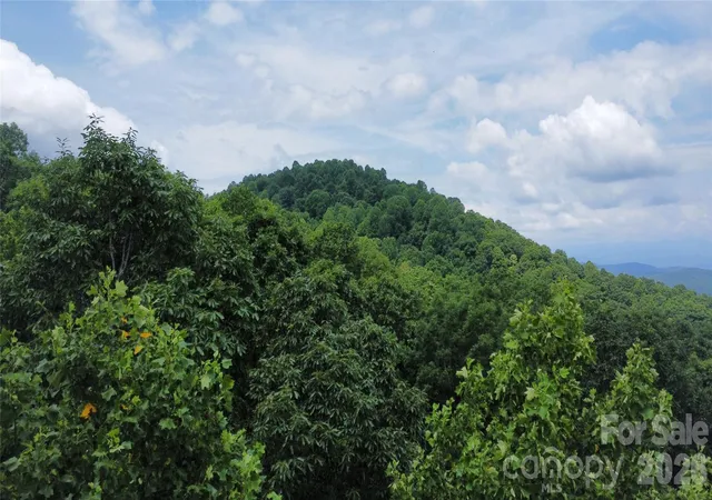 3rd image of 9999 North Pointe Dr #70, Zirconia, NC 28790 | MLS# 4399369