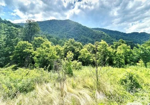 1st image of 00 Split Pine Cvs, Clyde, NC 28721 | MLS# 4399374