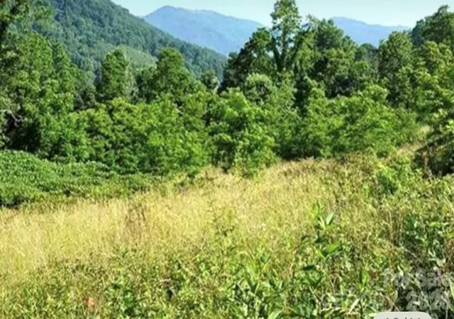2nd image of 00 Split Pine Cvs, Clyde, NC 28721 | MLS# 4399374