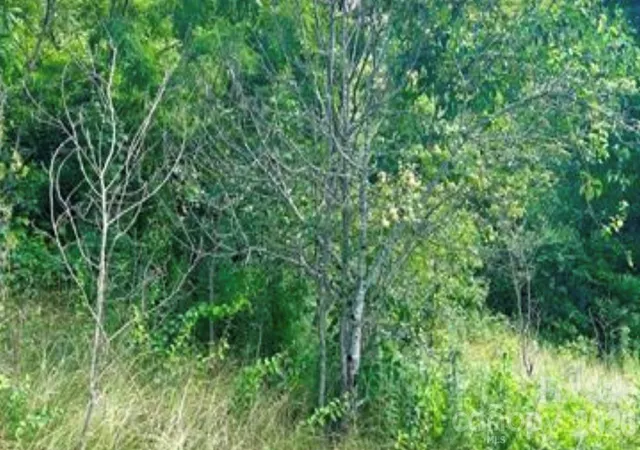 3rd image of 00 Split Pine Cvs, Clyde, NC 28721 | MLS# 4399374