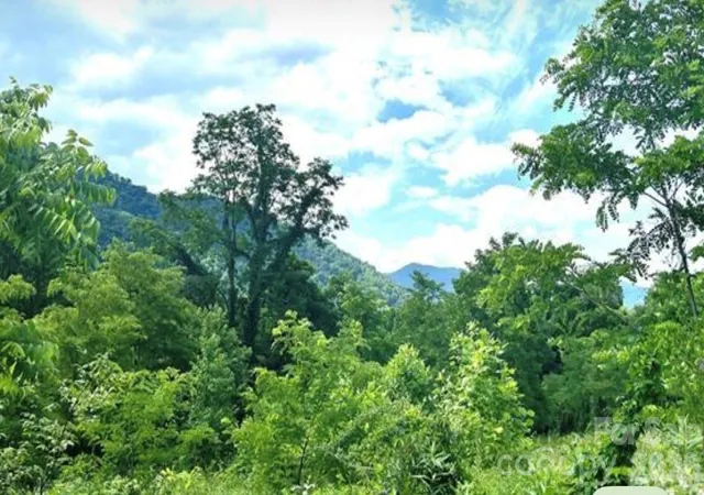 4th image of 00 Split Pine Cvs, Clyde, NC 28721 | MLS# 4399374