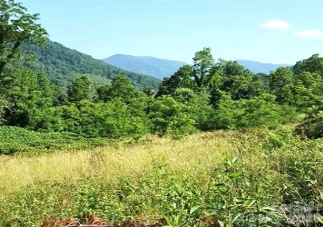 5th image of 00 Split Pine Cvs, Clyde, NC 28721 | MLS# 4399374