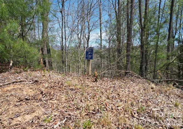 Photo 3 of Land for sale at 0 High Peak Dr #5, Burnsville, NC 28714 | MLS# 4399526 | Listing updated on 2026-08-26