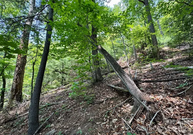 Photo 4 of Land for sale at Lot 23 Bear Trak Ln #23, Lenoir, NC 28645 | MLS# 4399600 | Listing updated on 2026-09-22