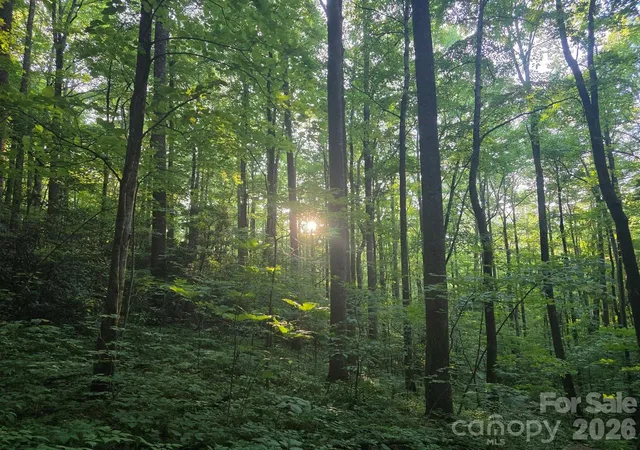 Photo 4 of Land for sale at 52 Big View Dr, Marion, NC 28752 | MLS# 4399638 | Listing updated on 2026-07-01