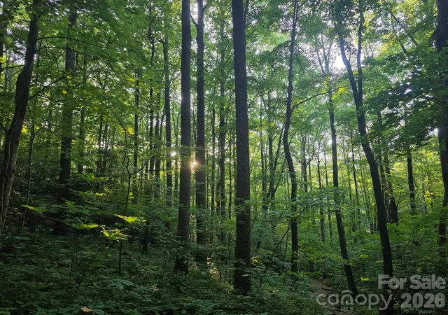 Photo 5 of Land for sale at 52 Big View Dr, Marion, NC 28752 | MLS# 4399638 | Listing updated on 2026-07-01