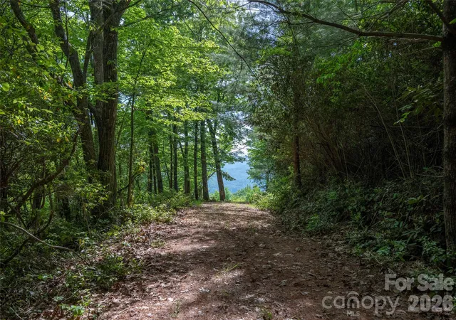 Homes for sale in Lake Toxaway, NC | Lot 114r Toxaway Dr, Lake Toxaway, NC 28747 | MLS# 4399704