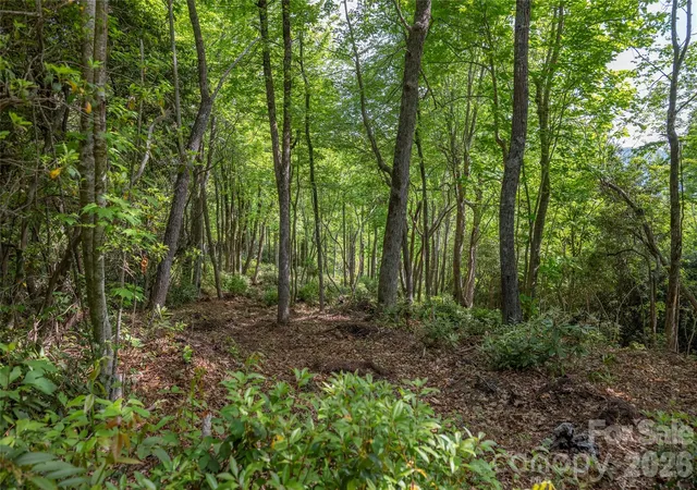 Homes for sale in Lake Toxaway, NC | Lot 114R Toxaway Dr, Lake Toxaway, NC 28747 | MLS# 4399704