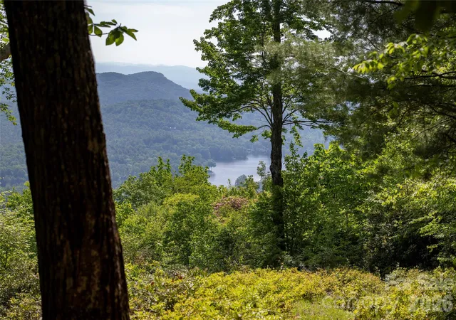 Homes for sale in Lake Toxaway, NC | Lot 114R Toxaway Dr, Lake Toxaway, NC 28747 | MLS# 4399704