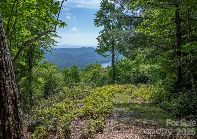 Homes for sale in Lake Toxaway, NC | Lot 114R Toxaway Dr, Lake Toxaway, NC 28747 | MLS# 4399704
