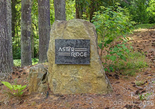 45th image of 34 Aster Ridge Dr, Waynesville, NC 28786 | MLS# 4399718