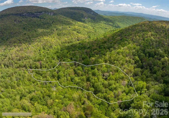 Homes for sale in Lake Toxaway, NC | Riv Camp Long Ridge Rd, Lake Toxaway, NC 28747 | MLS# 4399724