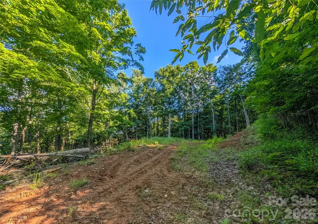 Homes for sale in Bakersville, NC | 000 Amber Ranches #47, Bakersville, NC 28705 | MLS# 4399773