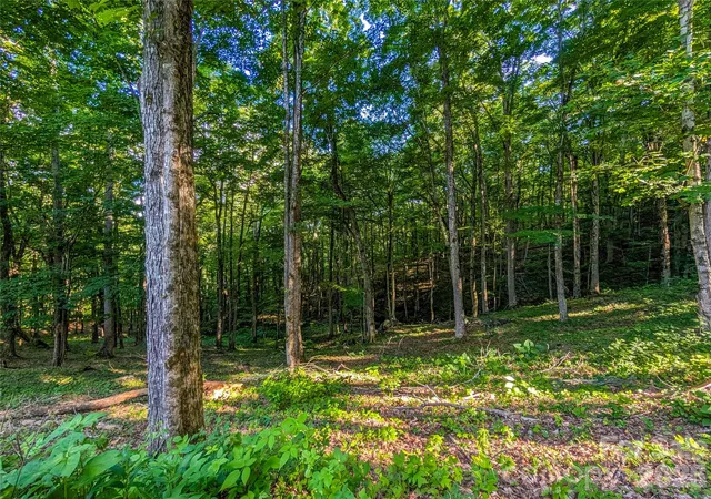Photo 3 of Land for sale at 000 Amber Ranches #47, Bakersville, NC 28705 | MLS# 4399773 | Listing updated on 2026-07-02