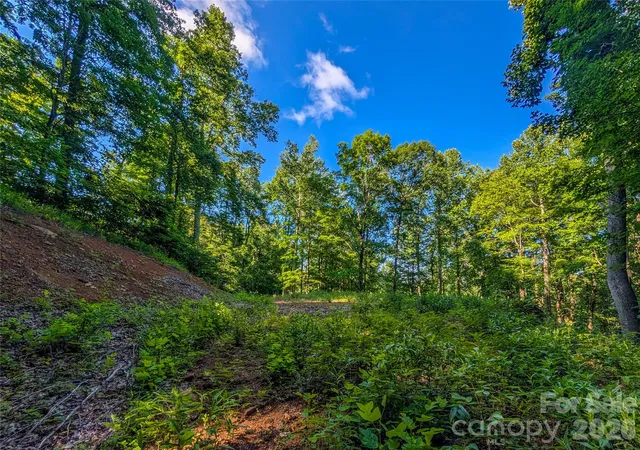 Photo 4 of Land for sale at 000 Amber Ranches #47, Bakersville, NC 28705 | MLS# 4399773 | Listing updated on 2026-07-02