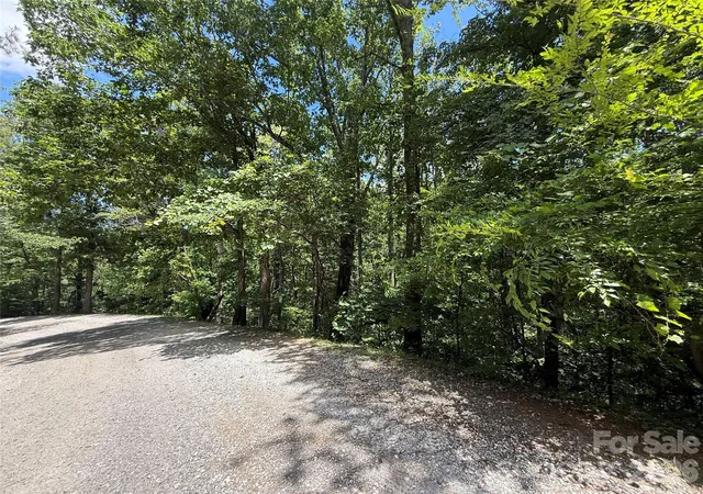 Homes for sale in Saluda, NC | 1142 Rixhaven Dr, Saluda, NC 28773 | MLS# 4399822