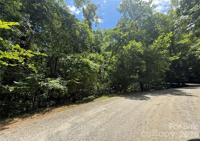 Homes for sale in Saluda, NC | 1142 Rixhaven Dr, Saluda, NC 28773 | MLS# 4399822
