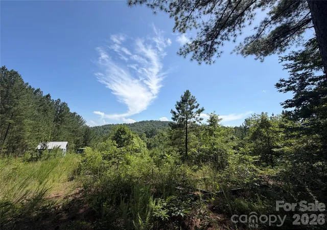 3rd image of 590 Gold Creek Pt, Union Mills, NC 28167 | MLS# 4399855