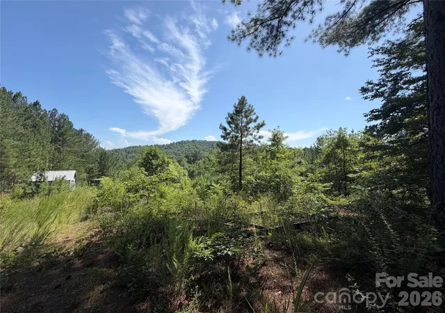 4th image of 590 Gold Creek Pt, Union Mills, NC 28167 | MLS# 4399855