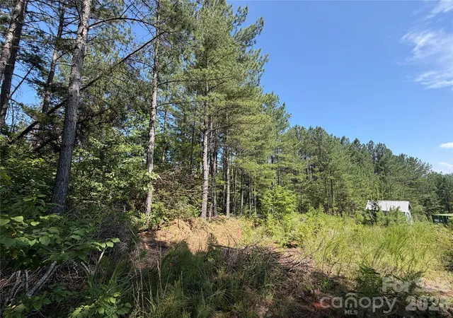 5th image of 590 Gold Creek Pt, Union Mills, NC 28167 | MLS# 4399855