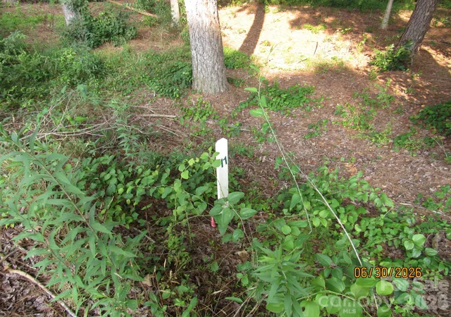 Homes for sale in Taylorsville, NC | 00 Church Rd #Lot 11, Taylorsville, NC 28681 | MLS# 4399882