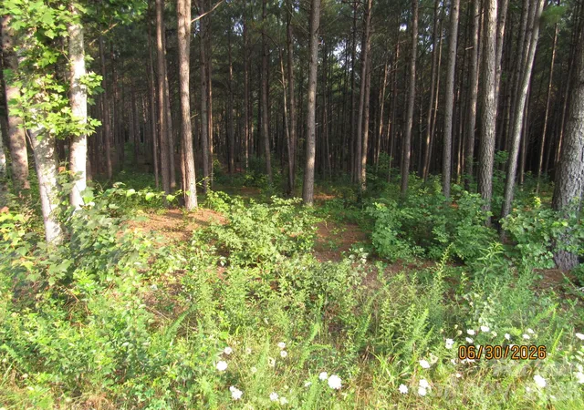Homes for sale in Taylorsville, NC | 00 Church Rd #Lot 14, Taylorsville, NC 28681 | MLS# 4399892