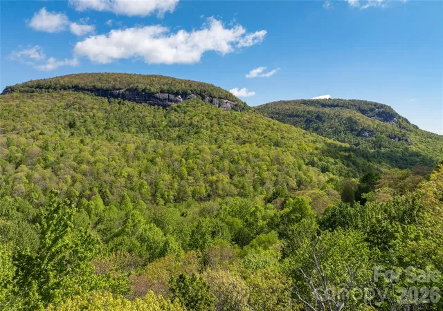 Homes for sale in Lake Toxaway, NC | Tbd Long Ridge Rd, Lake Toxaway, NC 28747 | MLS# 4399911