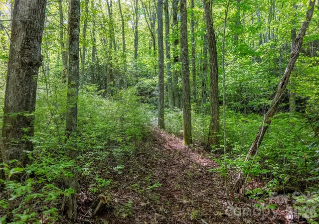 Homes for sale in Lake Toxaway, NC | Tbd Long Ridge Rd, Lake Toxaway, NC 28747 | MLS# 4399911