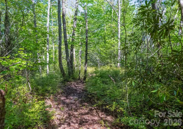 Homes for sale in Lake Toxaway, NC | Tbd Long Ridge Rd, Lake Toxaway, NC 28747 | MLS# 4399911